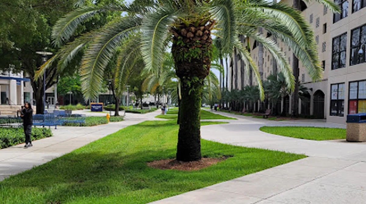 Palm-lined university campus at Florida International University photographed by the project owner